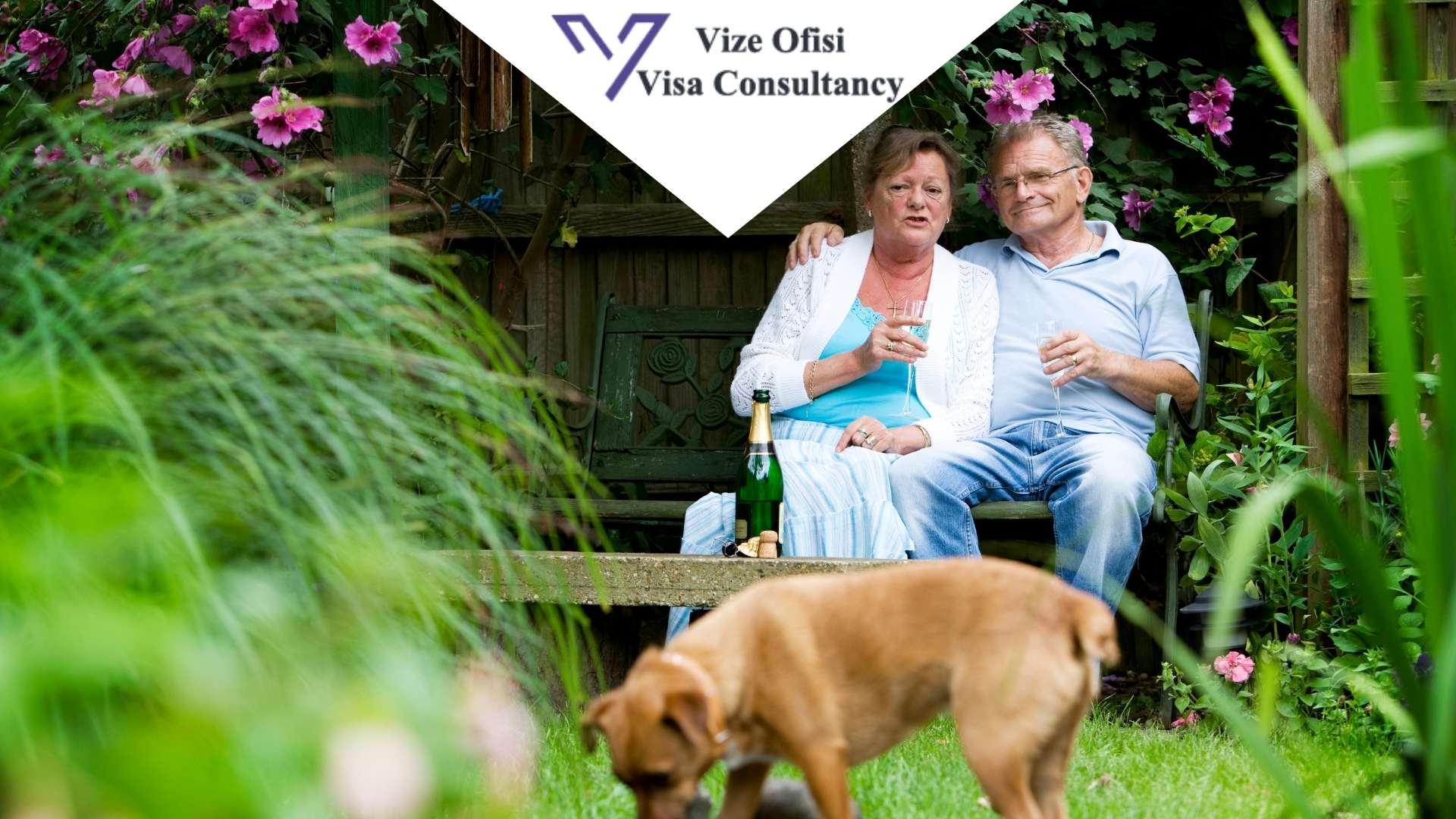 Hollanda Remigrant Erken Emeklilik Vize Evrakları 2021